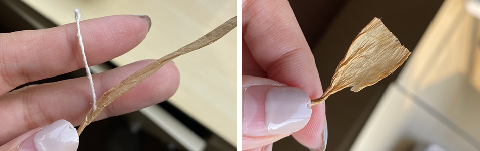 1678273160139089.jpg 紙草對(duì)比圖.jpg